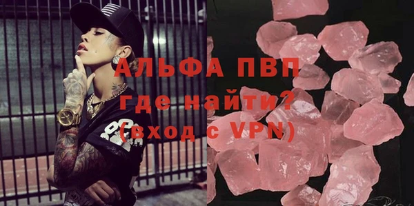 прущие грибы Баксан