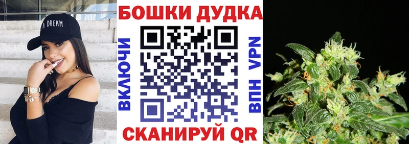 Бошки Шишки гибрид KRAKEN ссылка Бутурлиновка